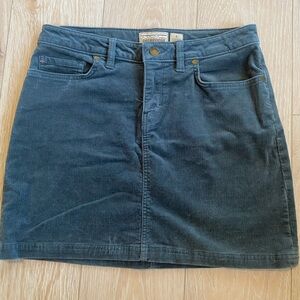 Patagonia blue corduroy skirt